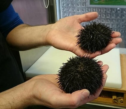 sushi en chamberi Washoku